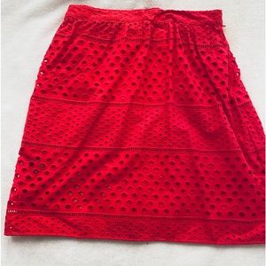 Ann Taylor Loft Flair & Flirty Skirt